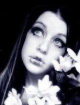 lelelehei在线视频,揭秘热门内容背后的魅力